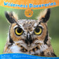 The nature of God Wilderness Discoveries