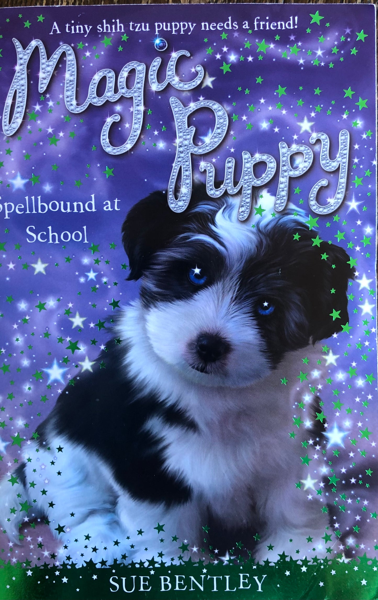 Magic Puppy by Sue Bentley