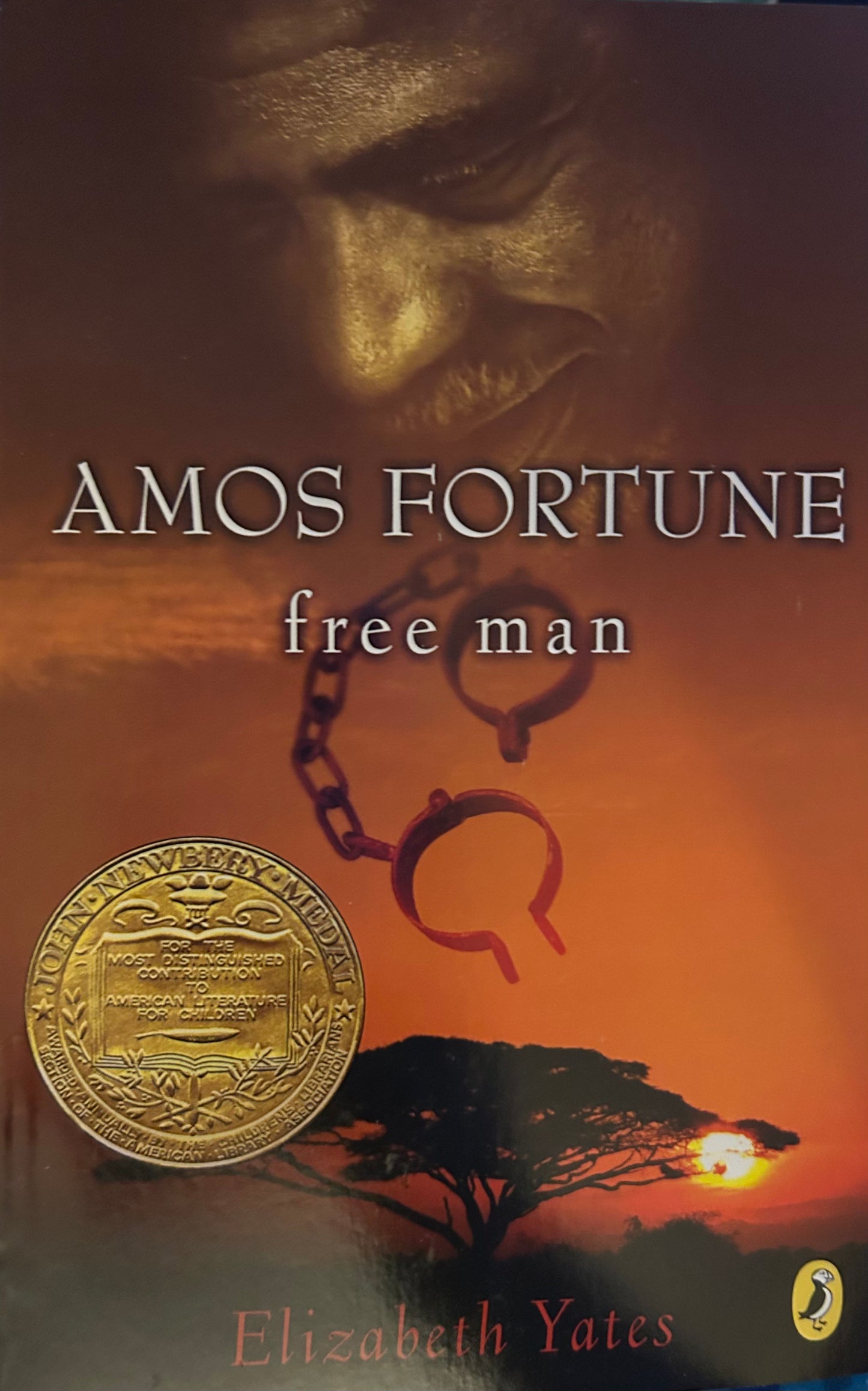 Amos Fortune free man by Elizabeth Yates