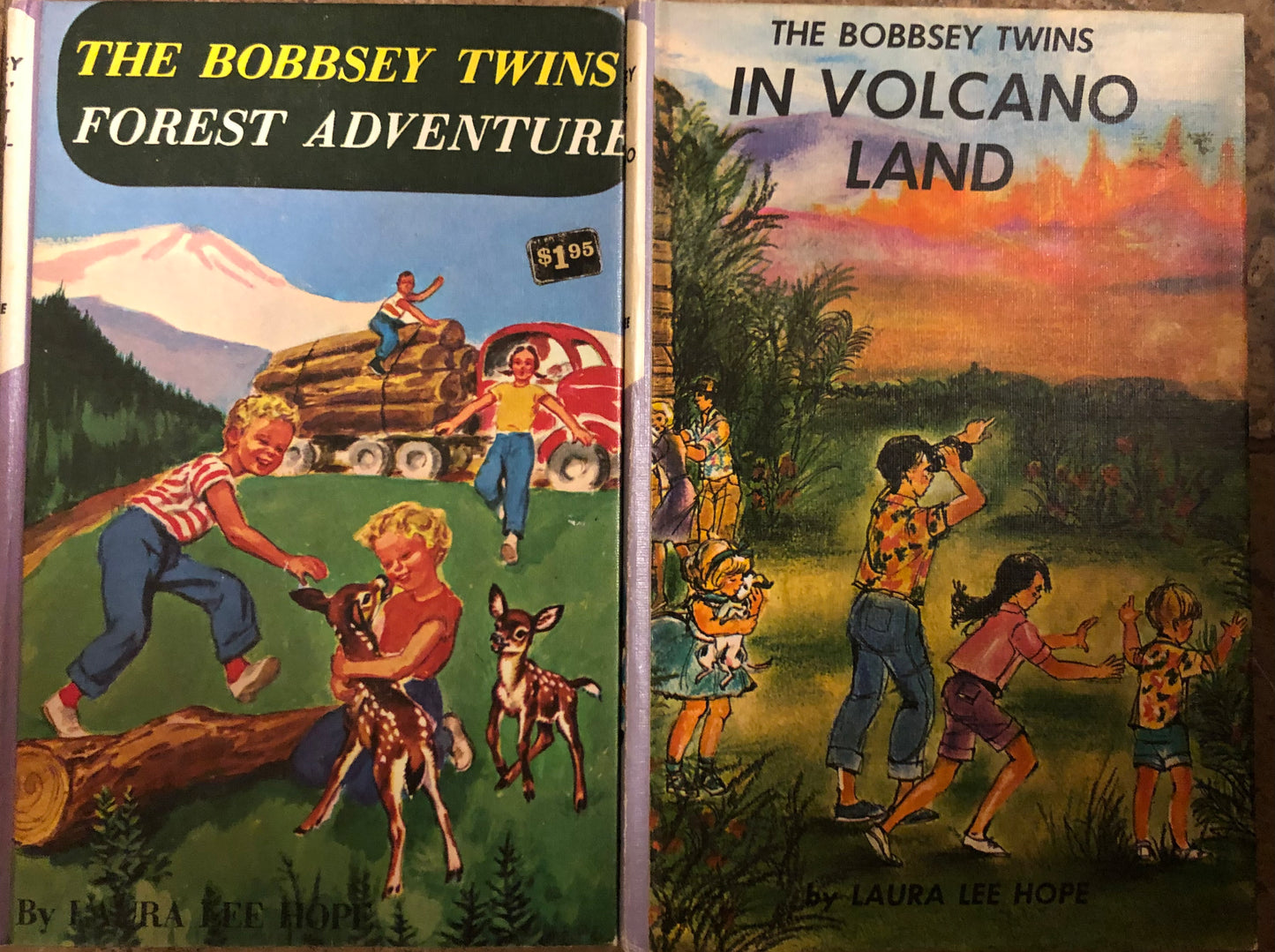 Bobbsey Twins (2 books)