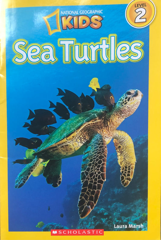 National Geographic Kids: Sea Turtles