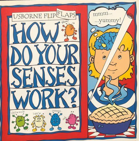 How do your senses work?