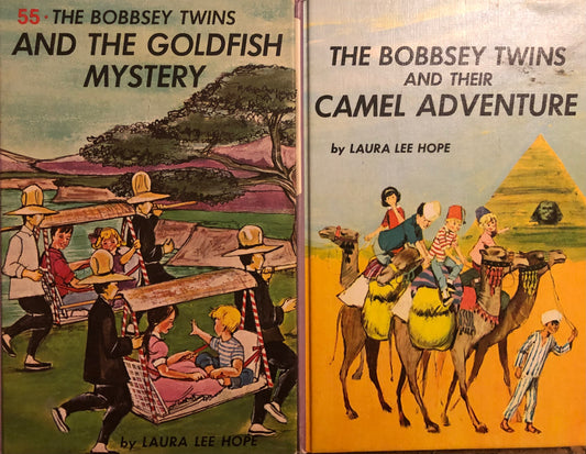 Bobbsey Twins (2 books)