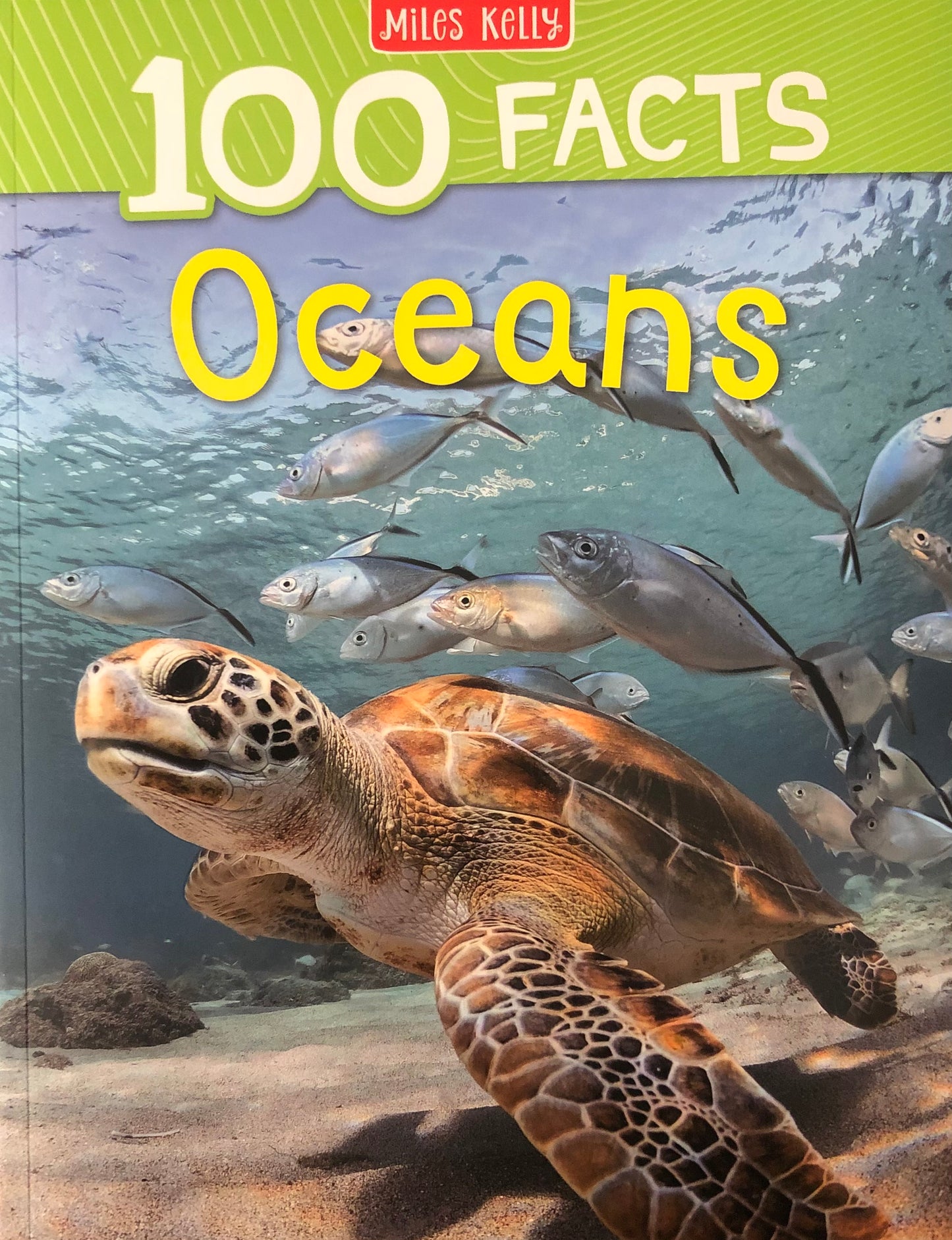 Miles Kelly 100 Facts Oceans – BooksandBundles