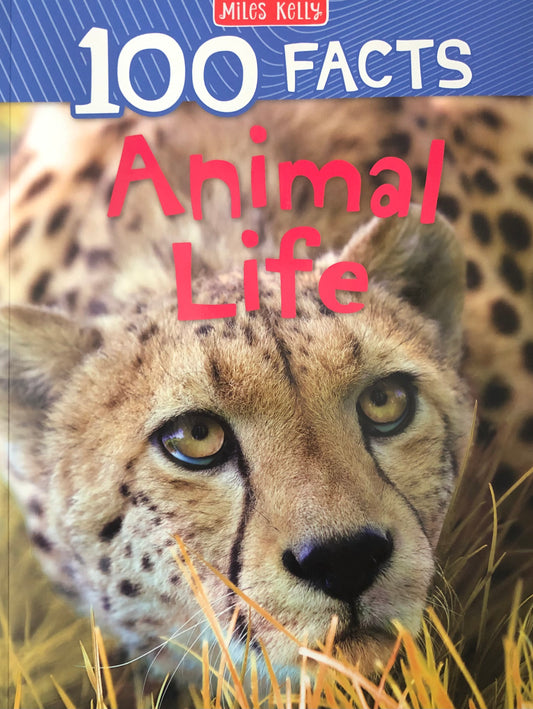 Miles Kelly 100 Facts Animal Life