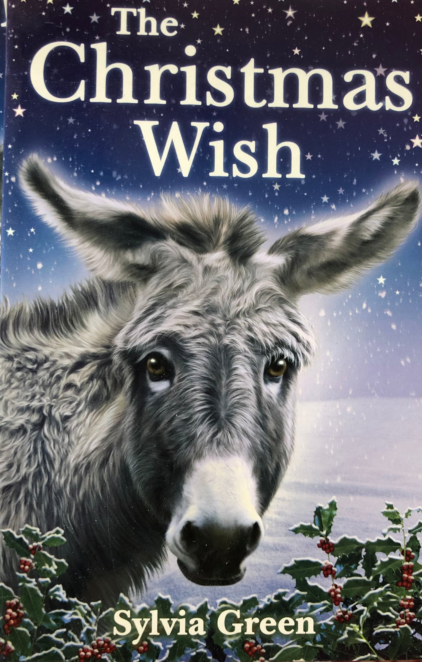 The Christmas Wish by Sylvia Green