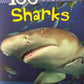 Miles Kelly 100 Facts Sharks